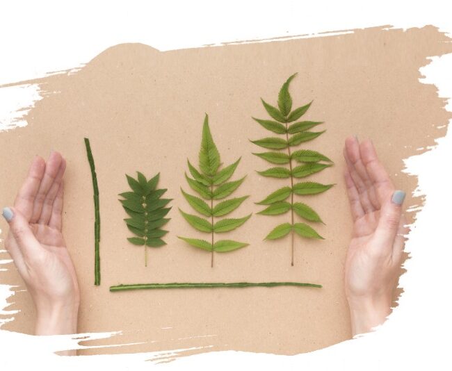 Ecotherapie 1
