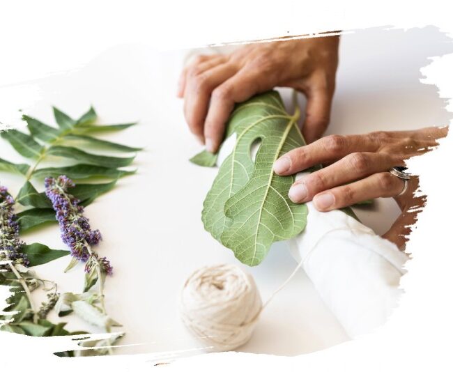 Ecotherapie 2