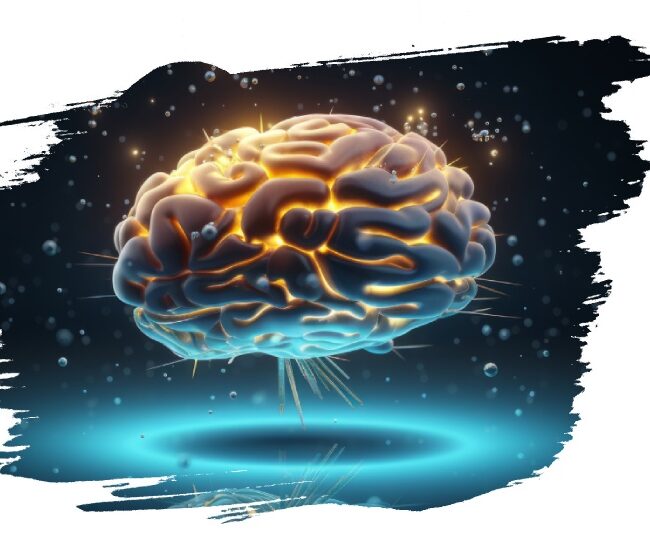 Neurochimie fonctionnelle 1