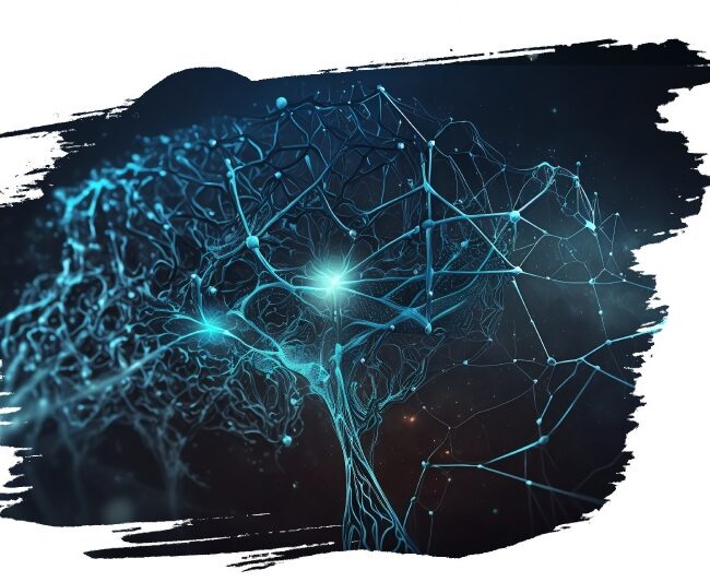 Neurochimie fonctionnelle 2