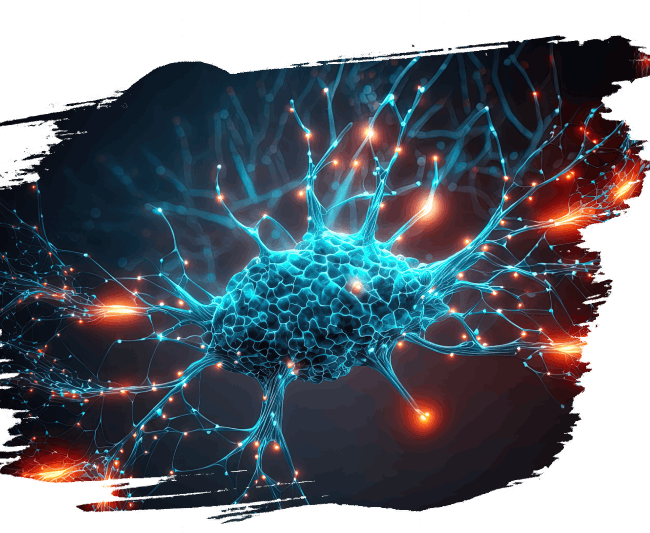 Neurochimie fonctionnelle 4