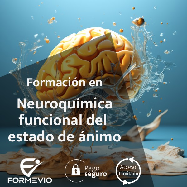 TH Neuroquímica funcional